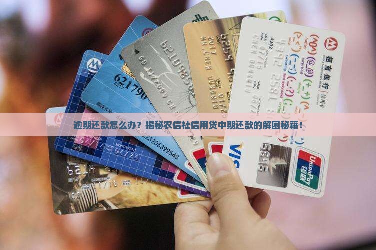 农信社信用贷中期还款逾期处理方法