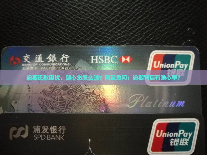 随心贷网贷逾期