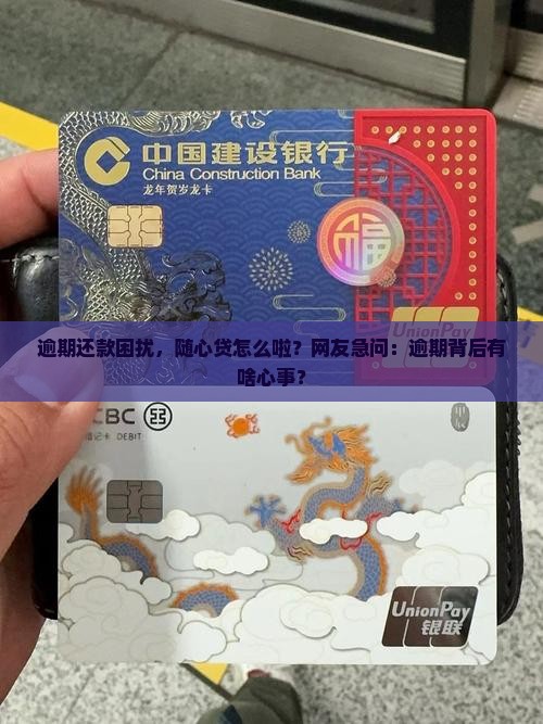 随心贷网贷逾期