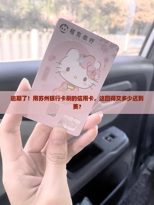 苏州银行信用卡逾期需要支付多少罚款