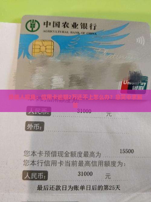 个人信用卡逾期两万需要如何处理