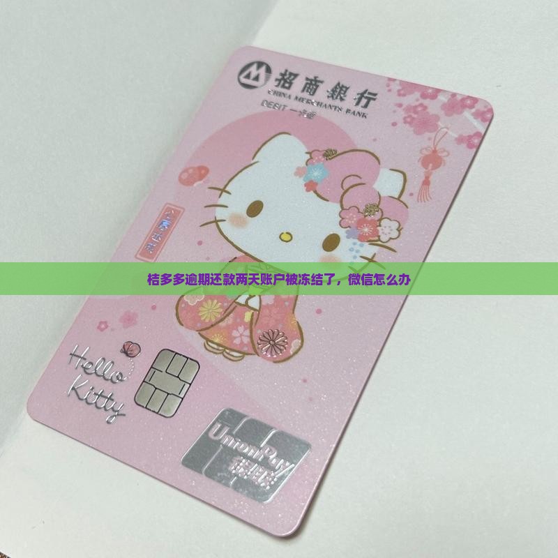 桔多多逾期还款二天账户冻结该怎么办