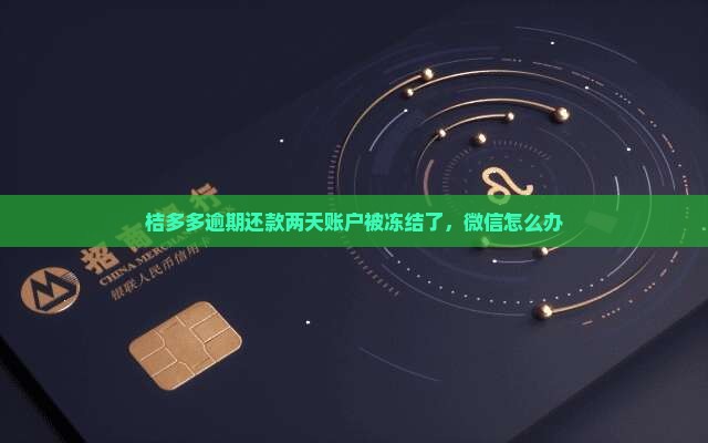 桔多多逾期还款二天账户冻结该怎么办