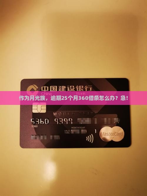360借条逾期25月