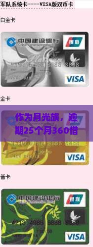 360借条逾期25月