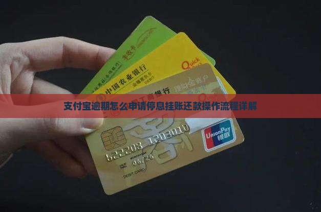 支付宝停息挂账还款操作流程详解