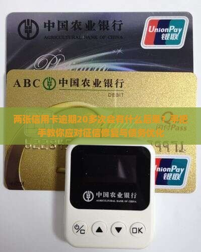 两张信用卡逾期20多次会有什么后果