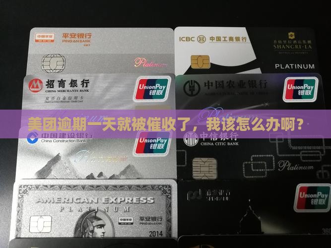 美团逾期一天催收如何处理