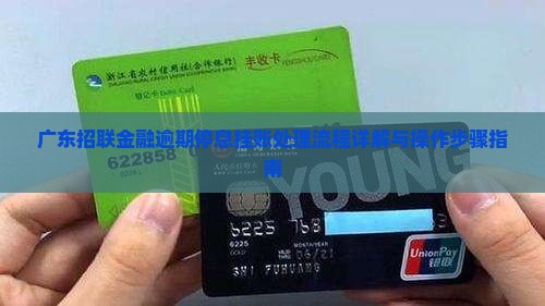 广东招联金融逾期停息挂账处理流程详解