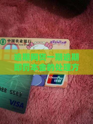 网贷逾期一期就罚全部本金如何处理