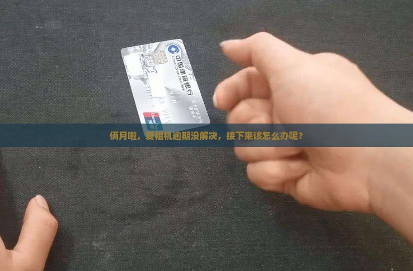 爱租机逾期两个月了怎么办