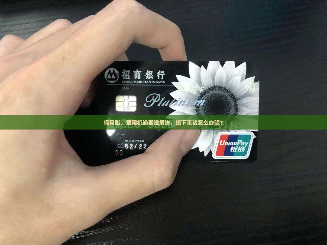 爱租机逾期两个月了怎么办
