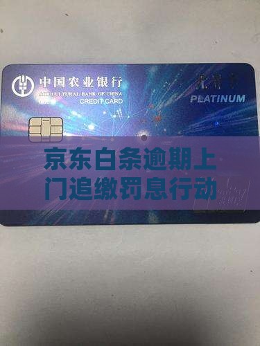 京东白条逾期上门收缴罚息