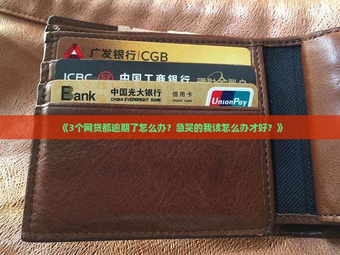 咨询网贷逾期情况该如何处理