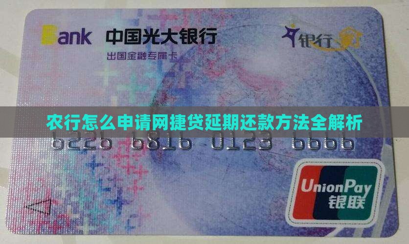 农行网捷贷延期还款申请方法