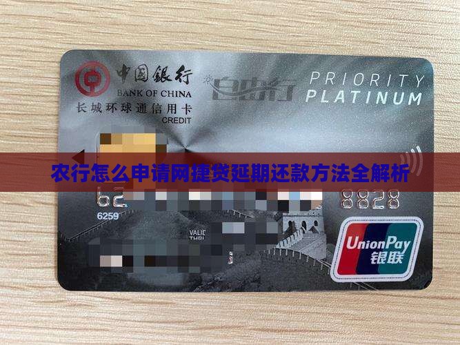 农行网捷贷延期还款申请方法