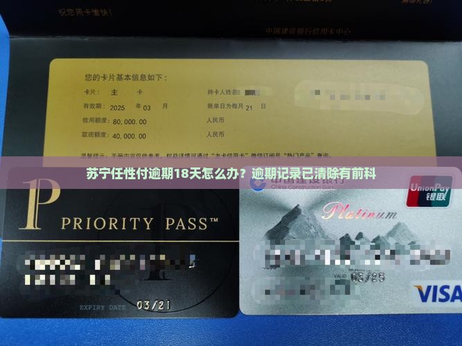 苏宁任性付逾期18天怎么办
