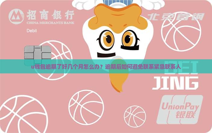 u钱包逾期了好几个月怎么办