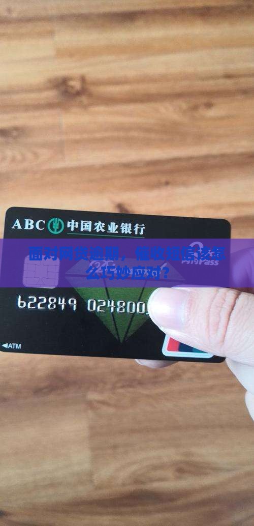 网贷逾期收到的催收信息怎么处理