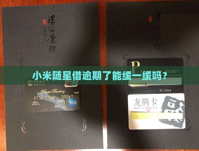 小米随星借能逾期多久