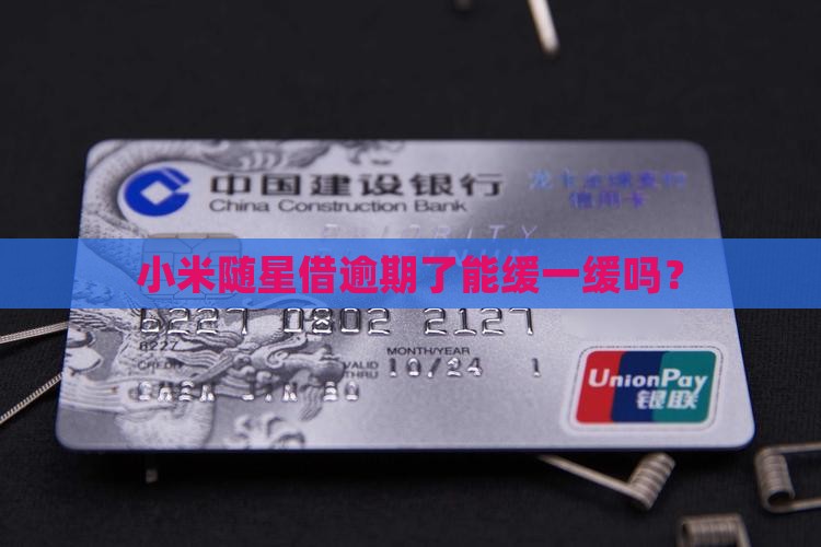 小米随星借能逾期多久