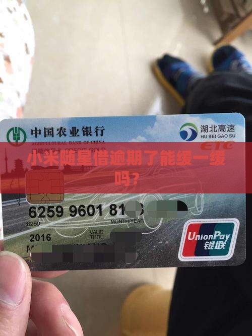 小米随星借能逾期多久
