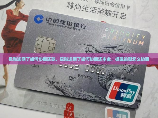 极融逾期了如何协商