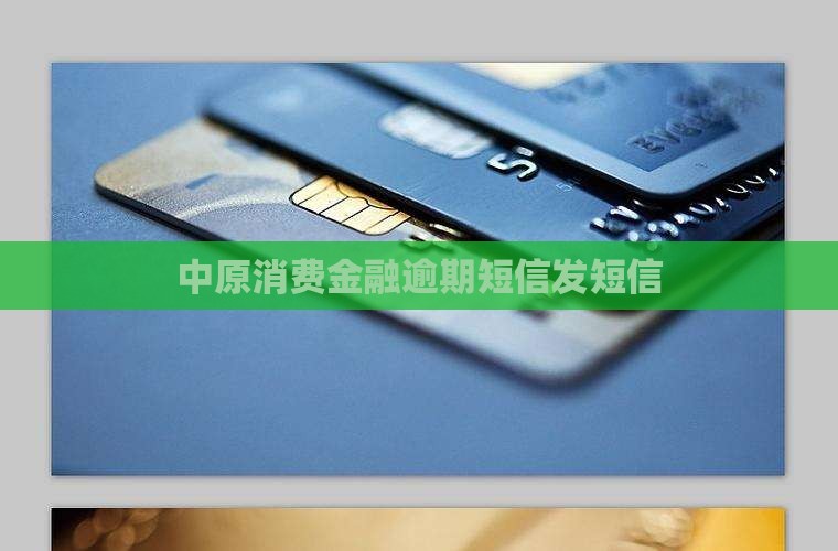 中原金融发逾期短信 中原金融发逾期短信