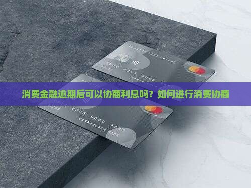 消费金融可以协商利息吗