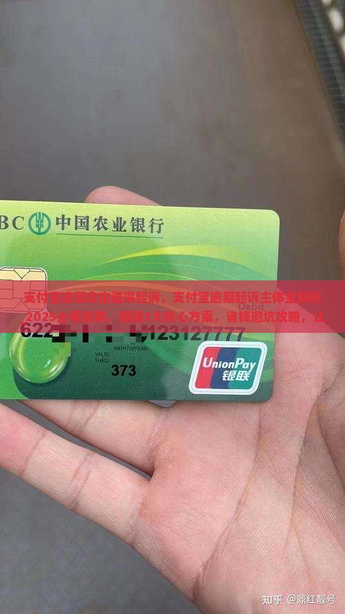 支付宝逾期会由谁来起诉