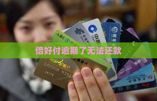 倍好付逾期了不能还款