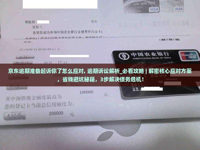 京东逾期准备起诉你了怎么应对