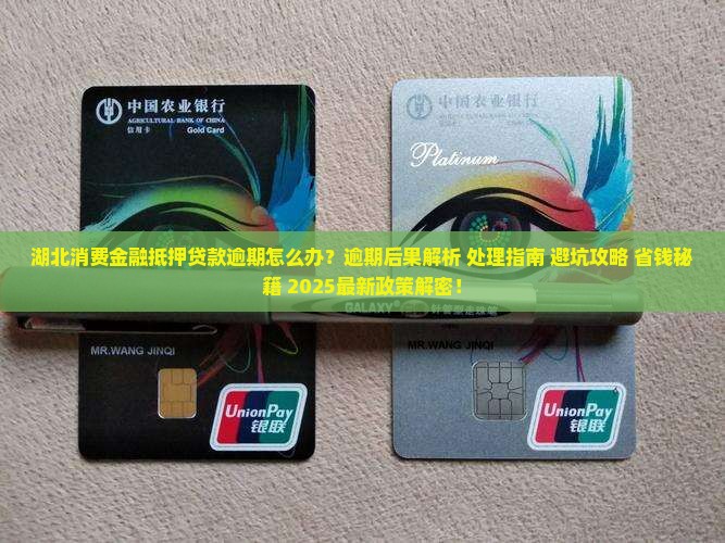 湖北消费金融抵押贷款逾期处理流程