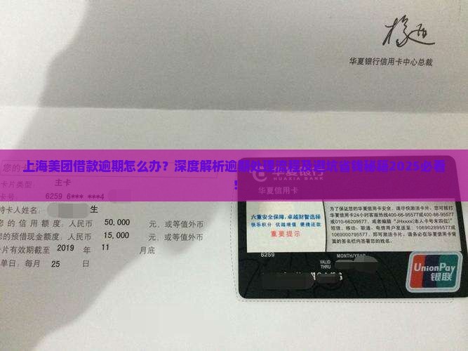上海美团借款逾期处理流程及注意事项