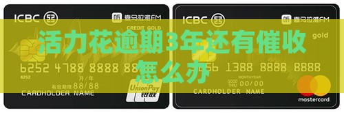 活力花逾期3年还有催收怎么办