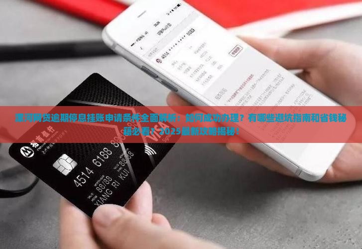 漯河网贷逾期停息挂账申请条件解析
