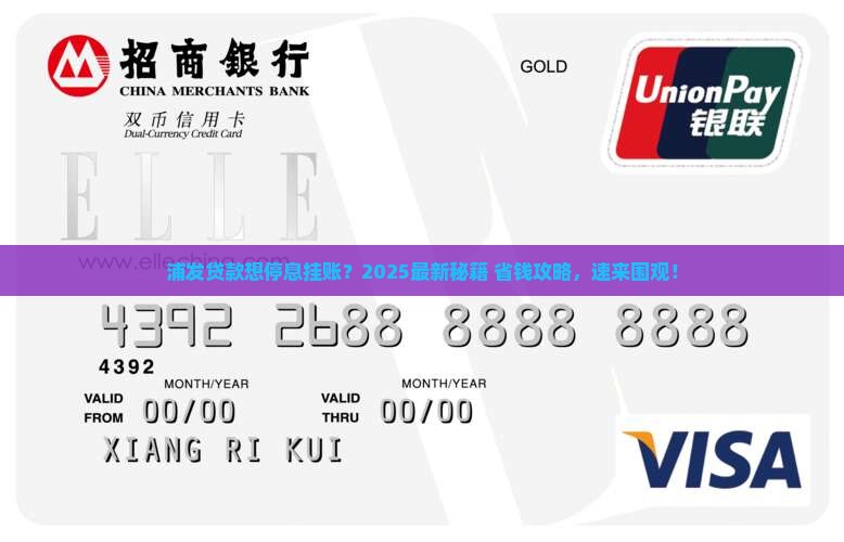 浦发贷款能申请停息挂账嘛