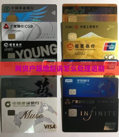 网贷说乡户籍地起诉如何操作