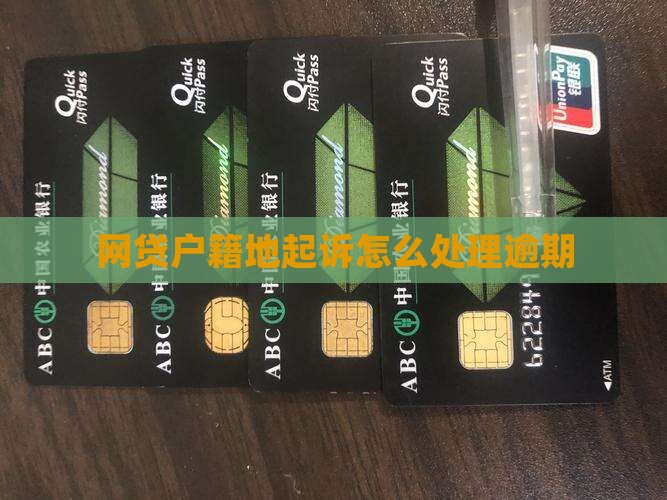 网贷说乡户籍地起诉如何操作