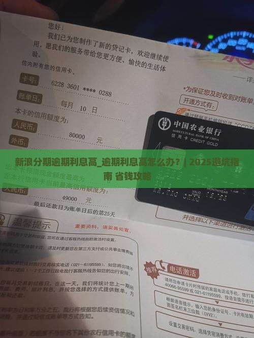 新浪分期逾期利息高