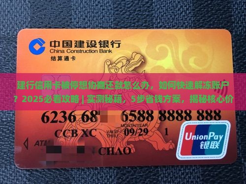 建行信用卡被停想协商还款怎么办