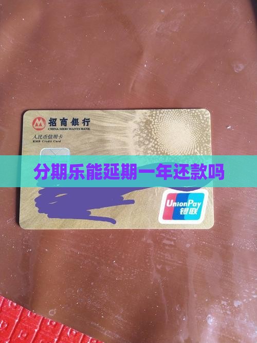 分期乐能延期一年还款吗