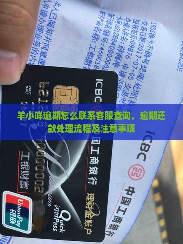 羊小咩逾期怎么联系客服查询