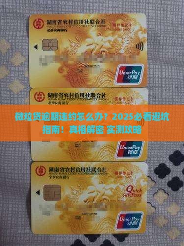 信用卡逾期违约应对策略分享