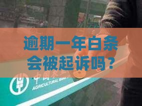 白条逾期一年会起诉吗吗如何应对