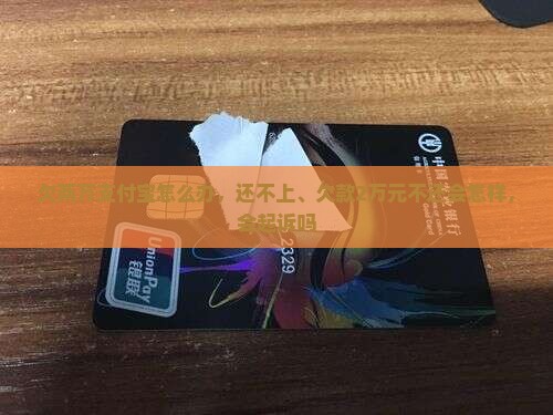 欠两万支付宝怎么办
