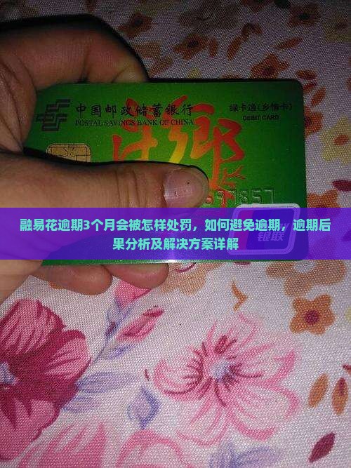 融易花逾期3个月会被怎样处罚