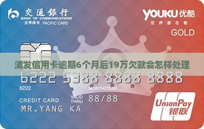 浦发欠款19万逾期6个月后会怎样处理
