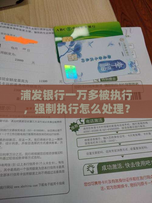 浦发一万多被执行应该如何处理
