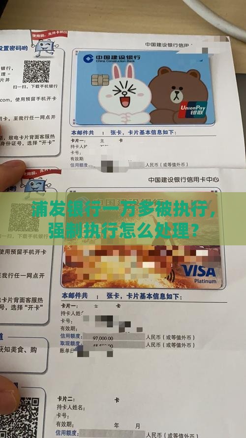 浦发一万多被执行应该如何处理